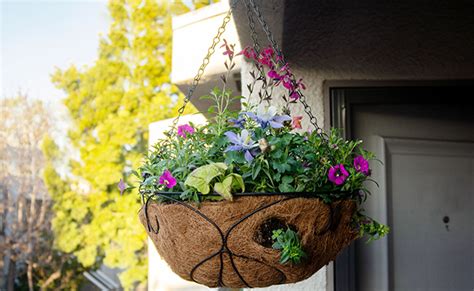 8 Creative Diy Hanging Planter Ideas To Transform Your Garden