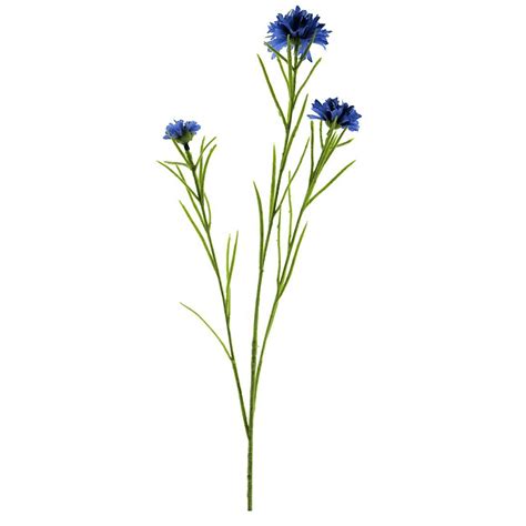 Korenbloem Blauw 65cm Decoratietakken