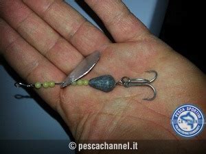 Autocostruzione Artificiali Guide Pesca Channel