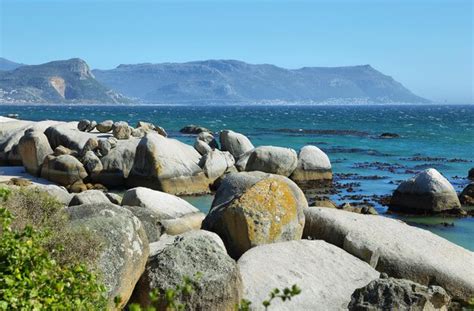 Premium Photo | Boulders beach