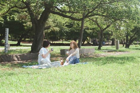 琵琶湖ピクニックvol2／長浜のおすすめピクニックスポット 湖北の暮らし案内所 どんどん