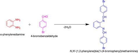 Synthesis Of N N 1 2 Phenylene Bis 1 4 Bromophenyl Methanimine