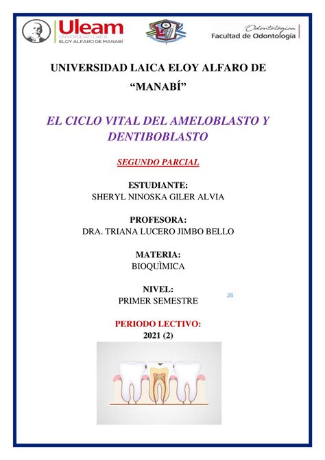 O Ciclo Vital Helen Bee Cap 8 3