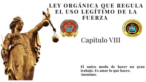 PresentaciÓn Ley Organica Del Uso LegÍtimo De La Fuerza