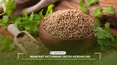 Dapat Menurunkan Tekanan Darah Ini Dia Manfaat Ketumbar Untuk