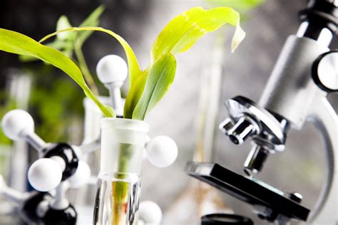 In Plant Science