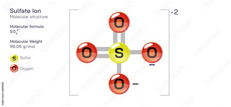 Sulfate Ion Molecular Structure Formula Periodic Table Structural Molecular Formula Vector