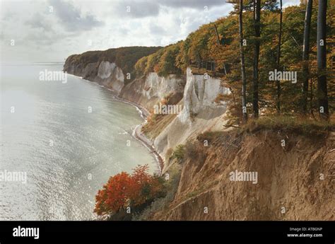 Chalk Cliff Of Ruegen Island In Autumn Germany Mecklenburg Vorpommern