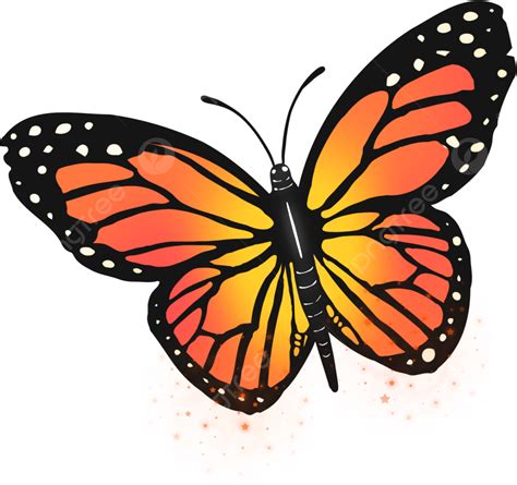 Mariposa Monarca De Estilo De Dibujos Animados Clipart Naranja Png