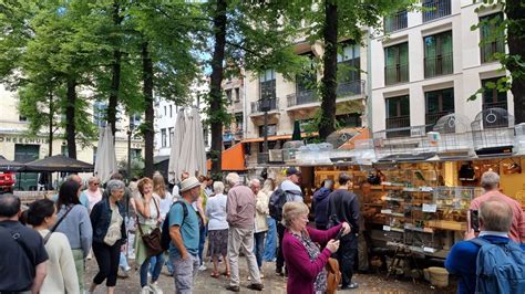 Vogeltjesmarkt In Antwerpen KijkopStad Nl