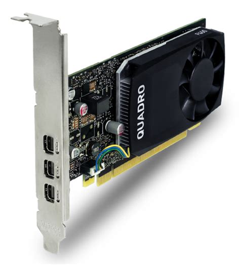 P600 Nvidia Factory Sale | bellvalefarms.com