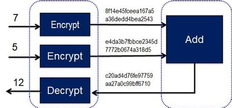 Fully Homomorphic Encryption What And Why Thomas Van Den Nieuwenhoff