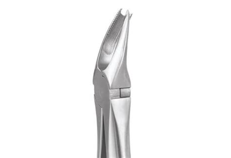 GDC Extraction Forceps Upper Molars Right Standard FX89S Dentalstall