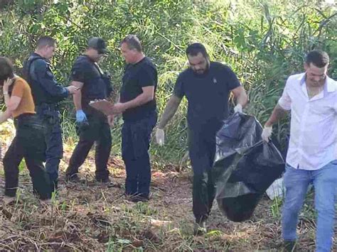 Ossada Humana Encontrada Escondida Em Matagal Dourados News