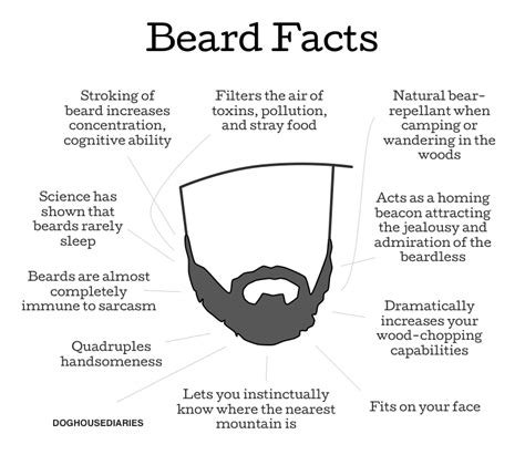 Funny Quotes About Beards. QuotesGram