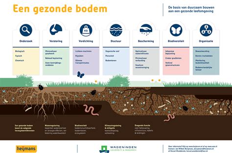 Werken Aan Een Gezonde Bodem In Stedelijke Ontwikkeling Zeven