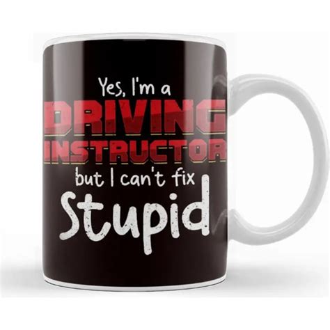 funny driving instructor learner driver drivers license car fiyati
