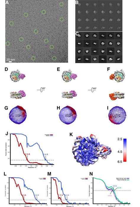 Figures And Data In Cryo EM Structures Of Remodeler Nucleosome