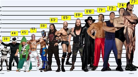 ベストオブ 5 6 Height Comparison キムシネ