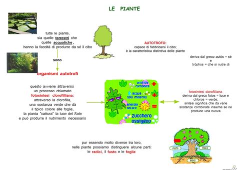 Paradiso Delle Mappe Le Piante 2