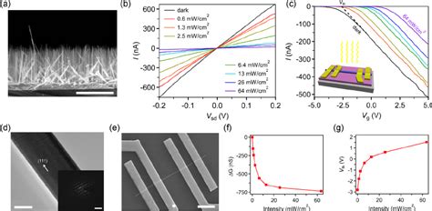 Charge Transport Characteristics And NPC Behaviors Of InAs NW FETs A