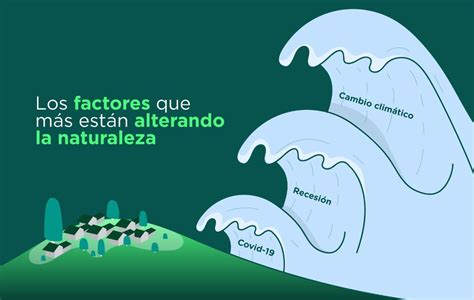 Acciones efectivas para cuidar el medio ambiente Descúbrelas