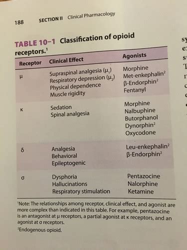 Opioids Flashcards Quizlet