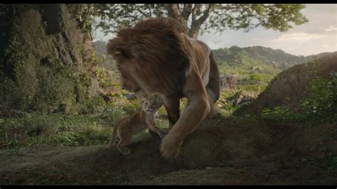 Image Gallery Of Naked Gun 33 1 3 The Final Insult 1994 Fancaps