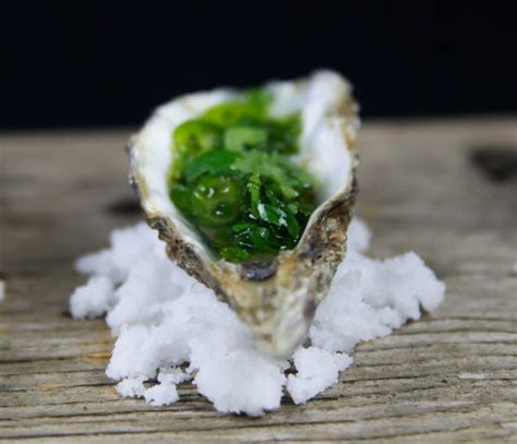 4 Simple and Great Tasting Fresh Oyster Toppings – Ateriet