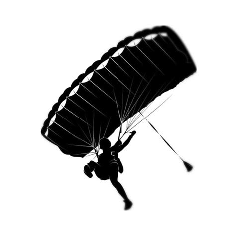 skydiving wing load  evgeny aleksandrov