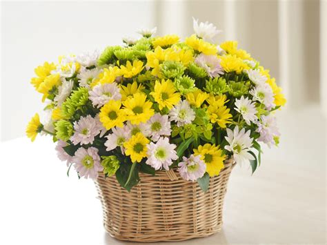 hoa tuoi dep  hoa tuoi nguyet hy