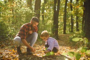 Tipps für Herbstspaziergänge mit Pfiff Familienblog Bündnis für Familie