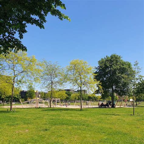 Wandelen Met Kinderen In De Buurt Van Amsterdam Plekken Met Speeltuin