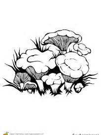 Coloriage Les Champignons Sur Hugolescargot