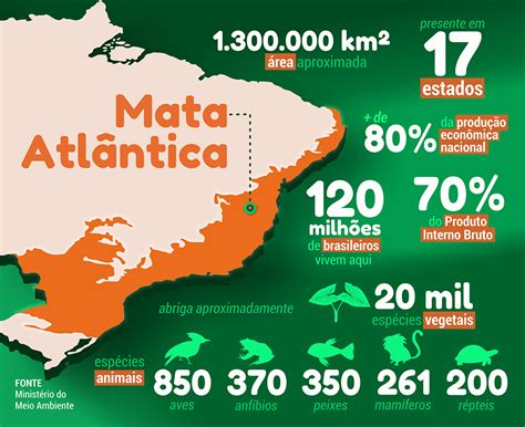 App apresenta informações sobre mais de 270 espécies da Mata Atlântica