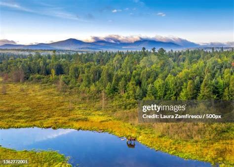 33 Great Moose Lake Stock Photos, High-Res Pictures, and Images - Getty ...