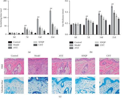 Figure From Angelica Yinzi Alleviates Pruritus Related Atopic