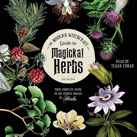 The Modern Witchcraft Guide To Magickal Herbs