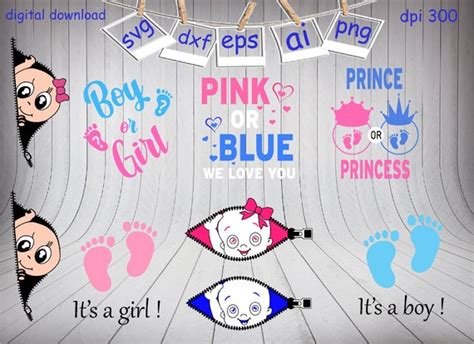 Boy Or Girl Svg Prince Or Princess Svg Pink Or Blue Svg Etsy