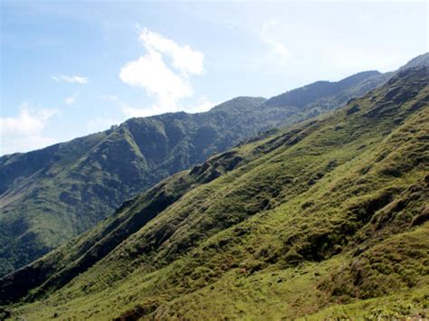 serrania del perija declaran nueva area protegida del bosque
