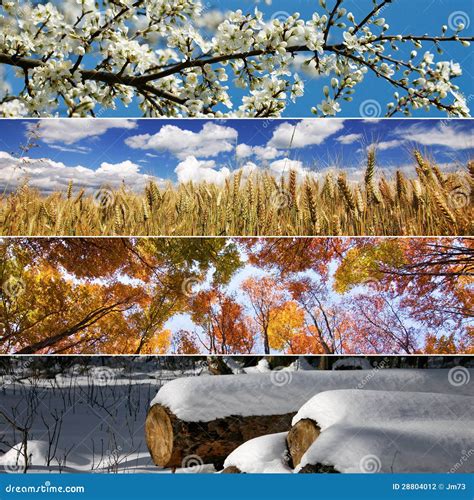 Four Seasons Stock Photo Image Of Landscape Nature 28804012