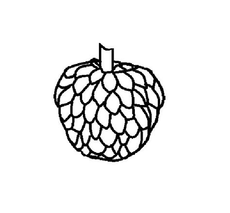 Single Custard Apple Coloring Pages Coloring Pages Download