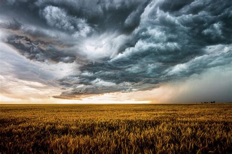 Rolling Thunder - Storm Over Golden Wheat Field in Colorado Photograph by Southern Plains ...