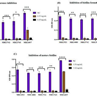Inhibition of SAP production in C. auris MRL6057 by the D-lp1. The ... 