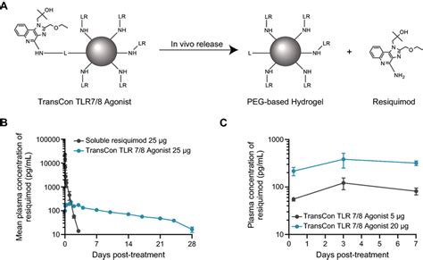 In Vivo Pharmacokinetic Characteristics Of Transcon Tlr Agonist A