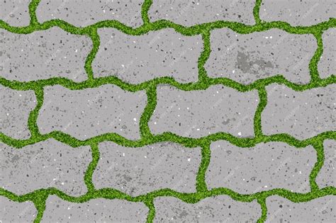 Premium Vector | Seamless pattern of old pavement with moss and figured ...