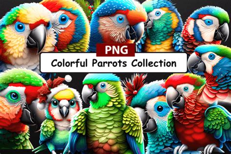 Parrot S Png Collection Graphic By Hassas Arts Creative Fabrica