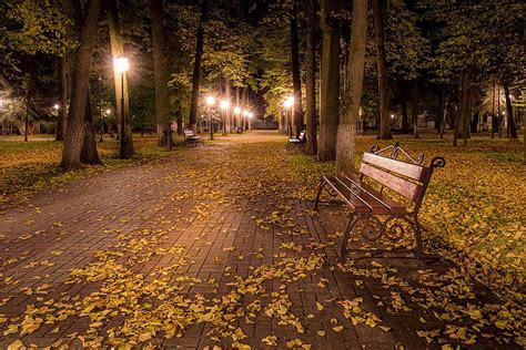 公園的秋夜 樹葉散落在小路和長凳上 照片背景圖桌布圖片免費下載 Pngtree