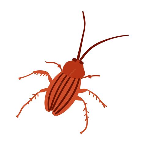 Premium Vector | Cockroach. Flat vector illustration on white background.