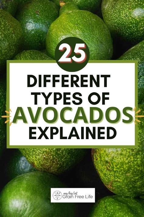 Different Types Of Avocados Explained